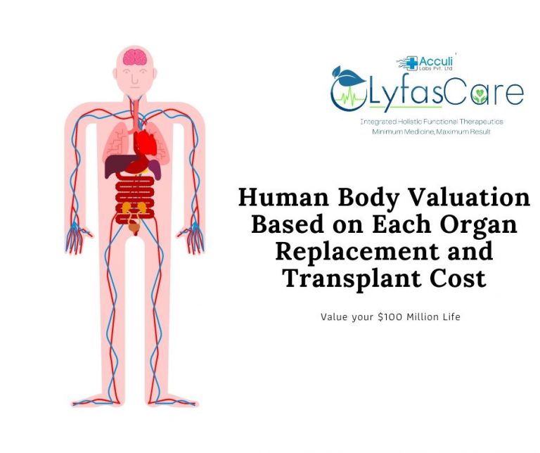 How Much Does an Organ Transplant Cost Makes Human Life Insanely High Value