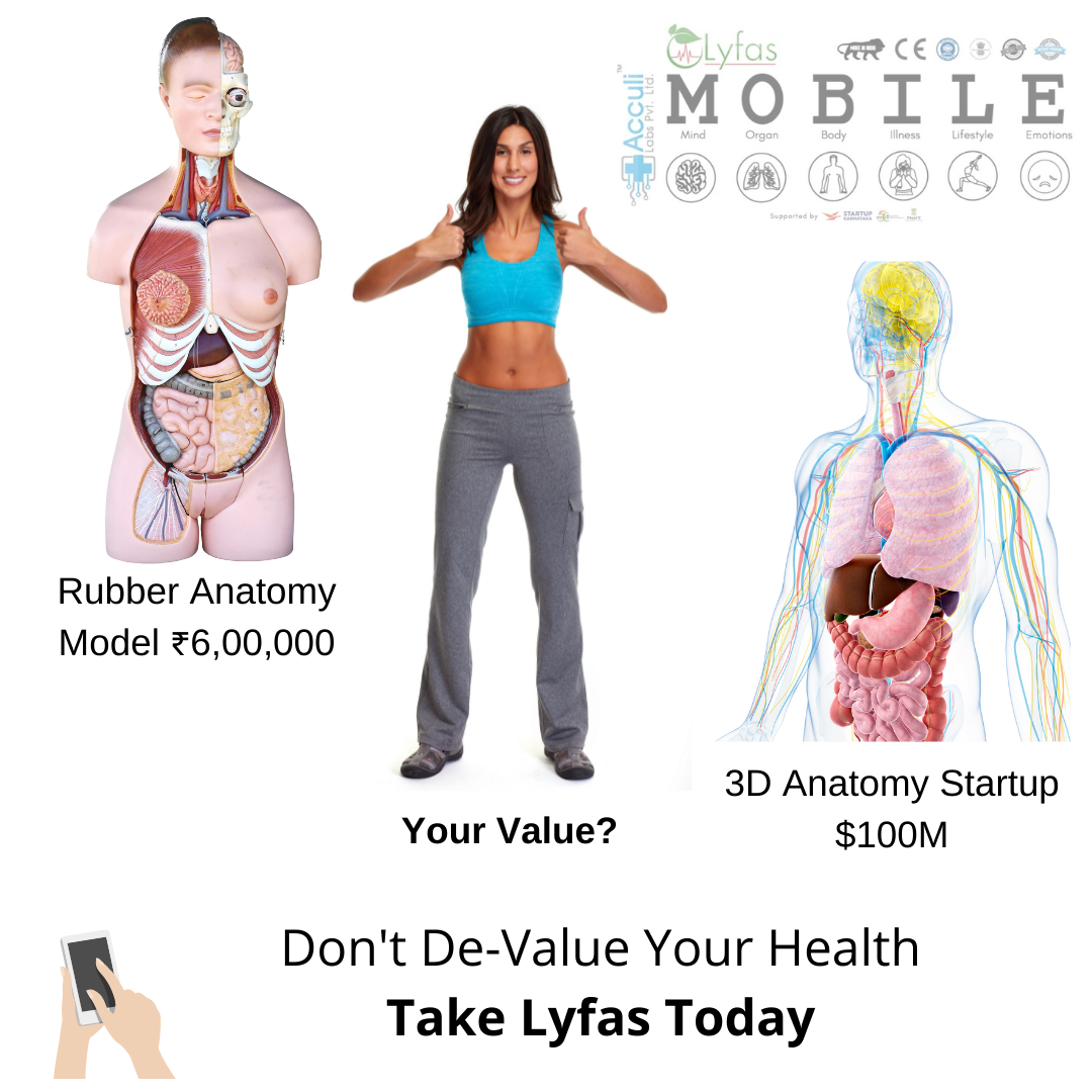 Your worth of the body and organs